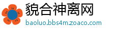 貌合神离网
