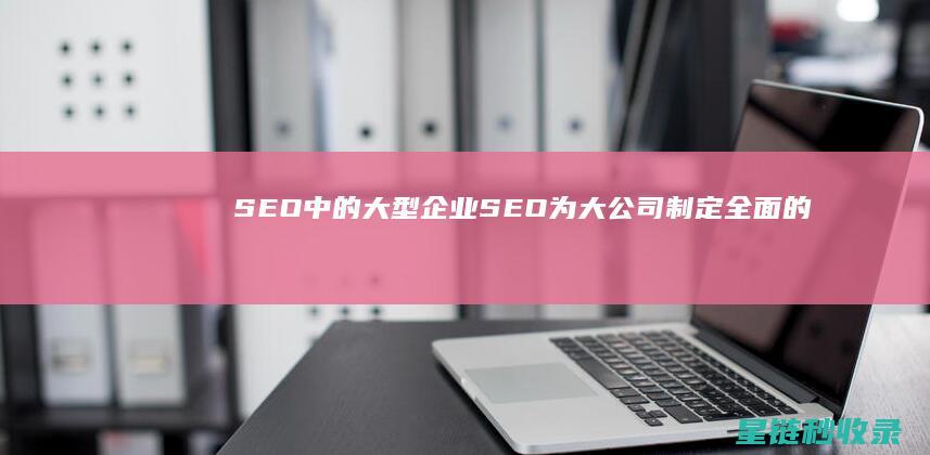 SEO中的大型企业SEO：为大公司制定全面的SEO计划 (seodaemun)