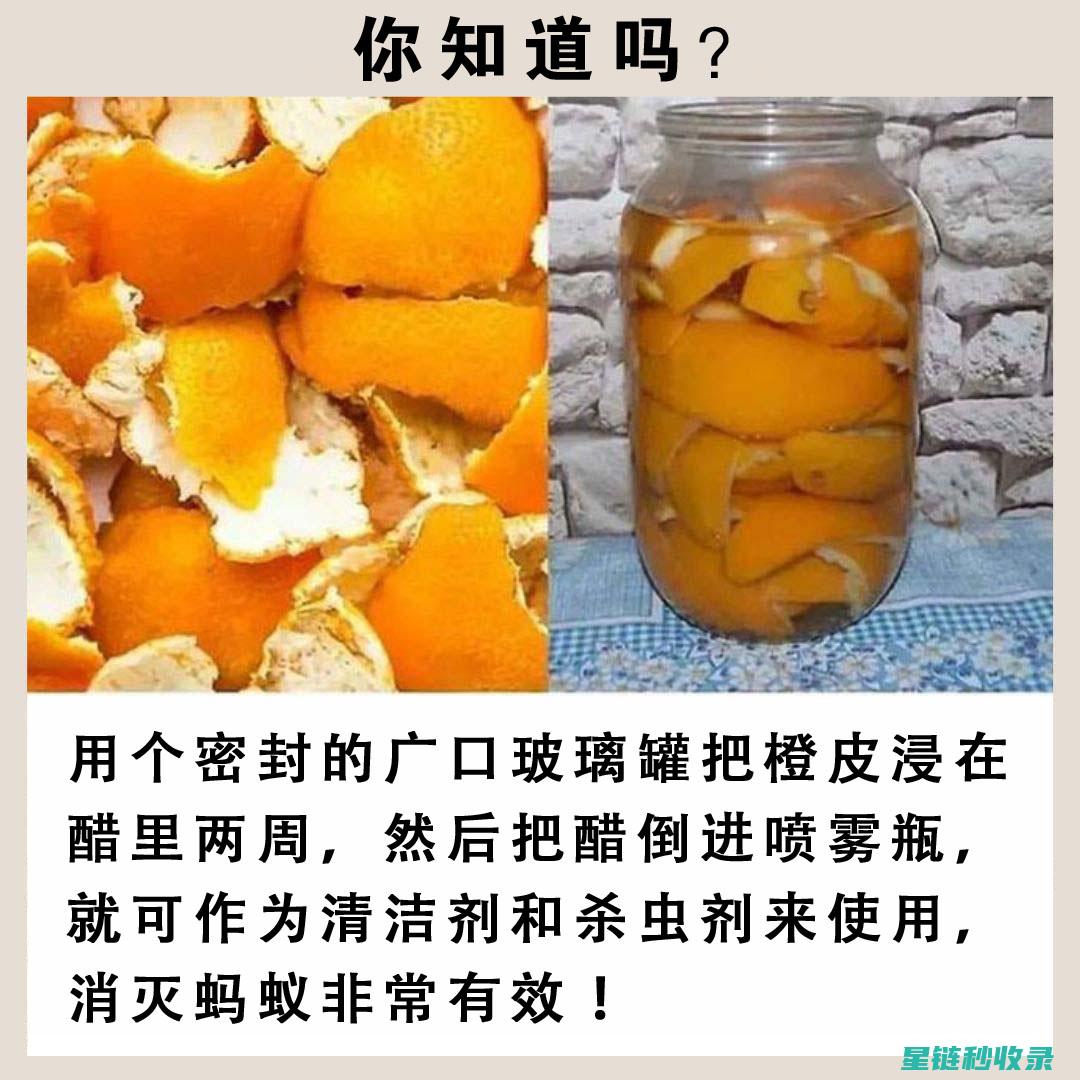 自制天然杀虫剂：环保家居防护秘方 (自制天然杀虫剂配方)