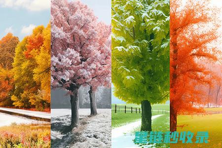 四季变化中的多肉植物养护之道 (四季变化中的冬至科学知识)