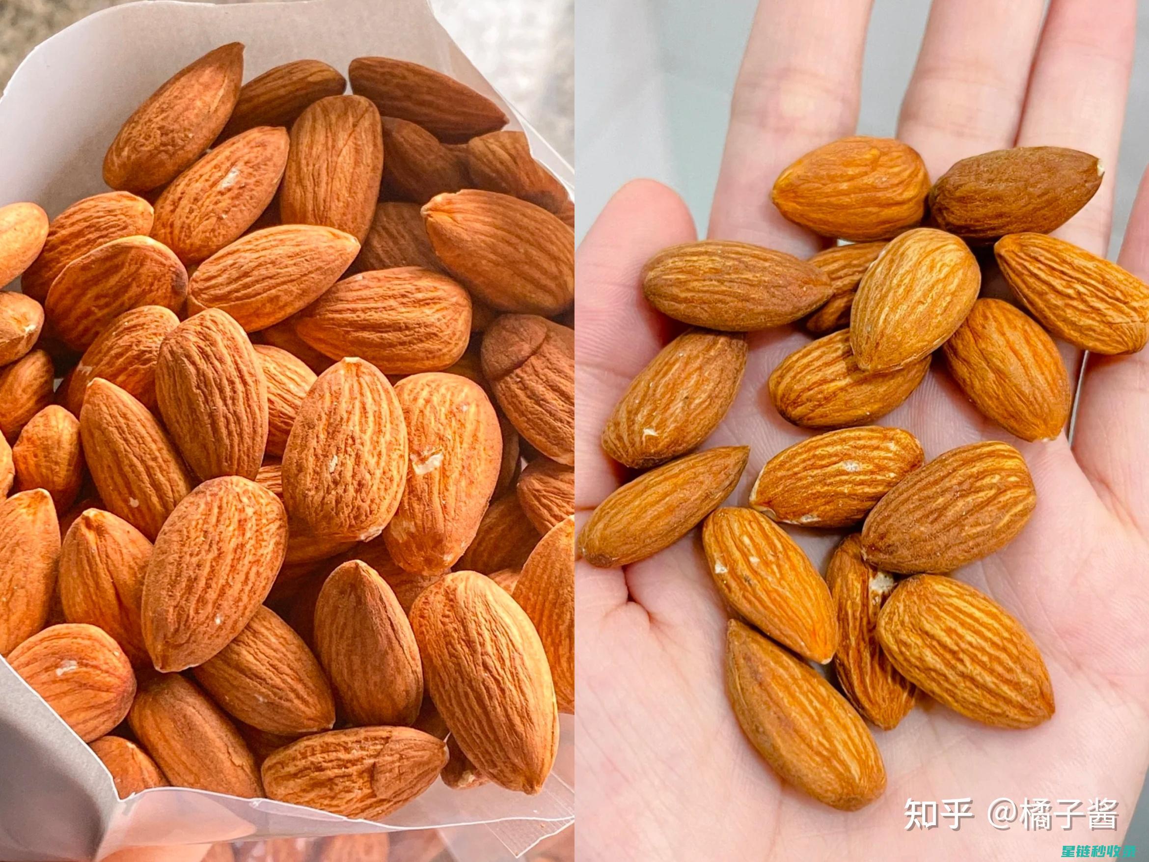 《零食大观：分类全解析，让你轻松找到最爱》 (零食大户)