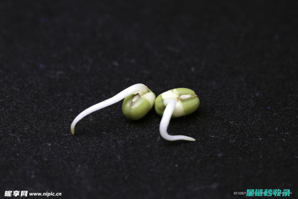 《绿豆发芽：解锁生命成长的奇妙瞬间》 (绿豆发芽了还能吃吗)