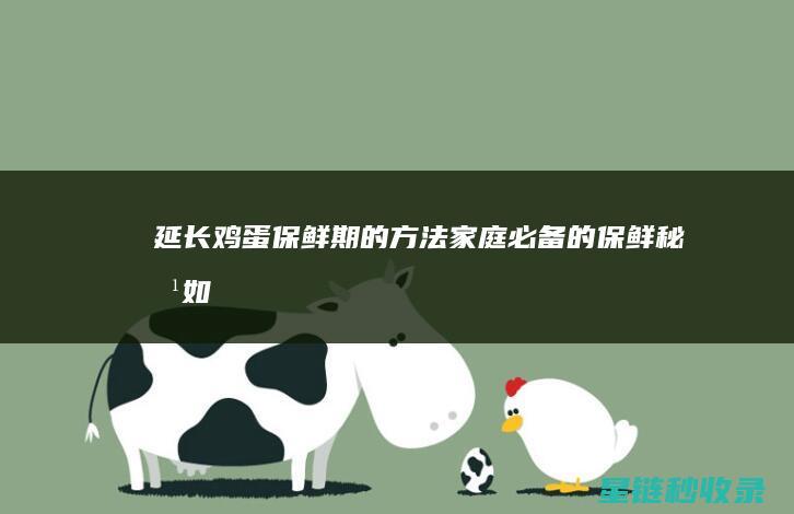 延长鸡蛋保鲜期的方法：家庭必备的保鲜秘方 (如何延长鸡蛋的保存时间)
