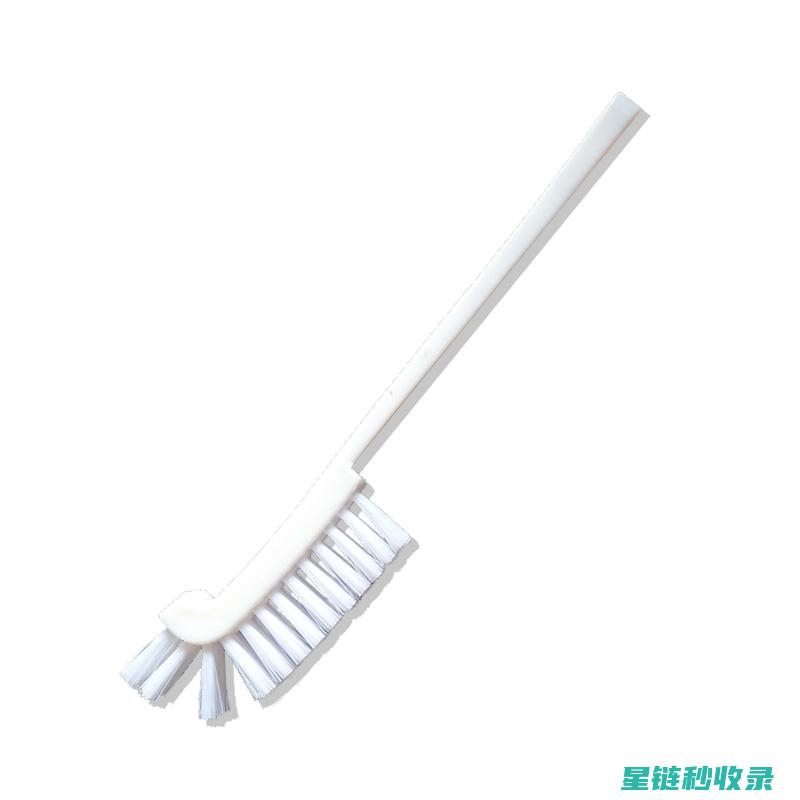 清洁榨汁机：从清洗到消毒的全过程 (清洗榨汁机)