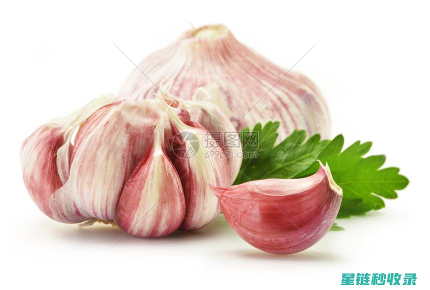 蒜皮去除神器：教你快速剥蒜的新方式 (巧去蒜皮)