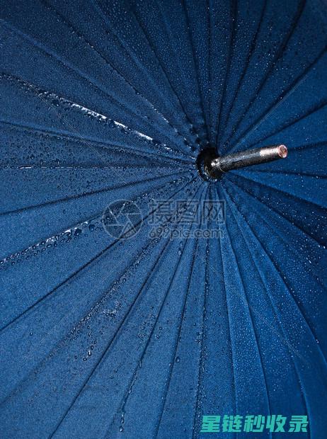 雨伞除锈大作战：掌握正确步骤，告别锈迹 (雨伞如何除锈)